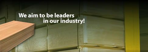 We aim to be leaders in our industry!